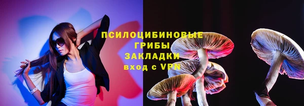 эйфоретик Бородино