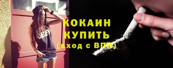 эйфоретик Бородино