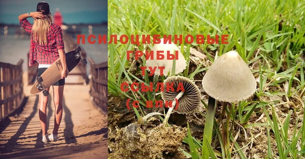 не бодяженный Бугульма