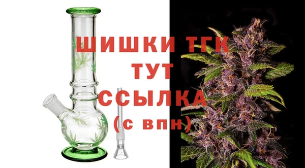 эйфоретик Бородино