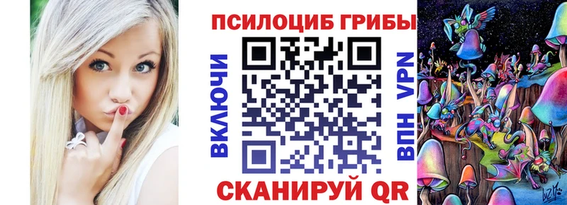купить наркотик  нарко площадка формула  Галлюциногенные грибы мицелий  Жуковский 