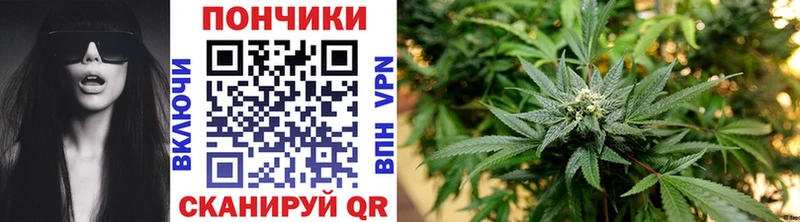 Конопля семена  купить закладку  Жуковский 